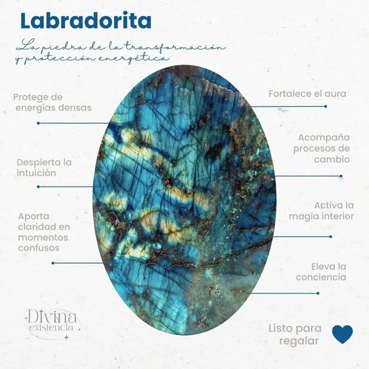 Collar Labradorita Protección Con Cadena De Acero 50 Cm Labradorita Blue