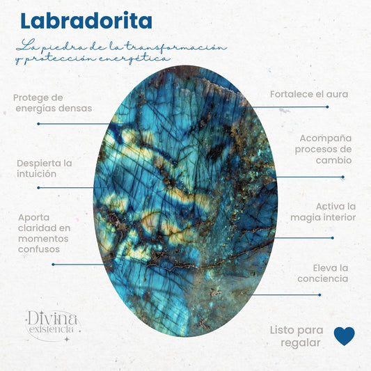 Collar Labradorita Protección Con Cadena De Acero 50 Cm Labradorita Blue