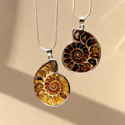 Dije Ammonite Amonita Fósil Natural Piedra Espiral Único Ammonite Variado